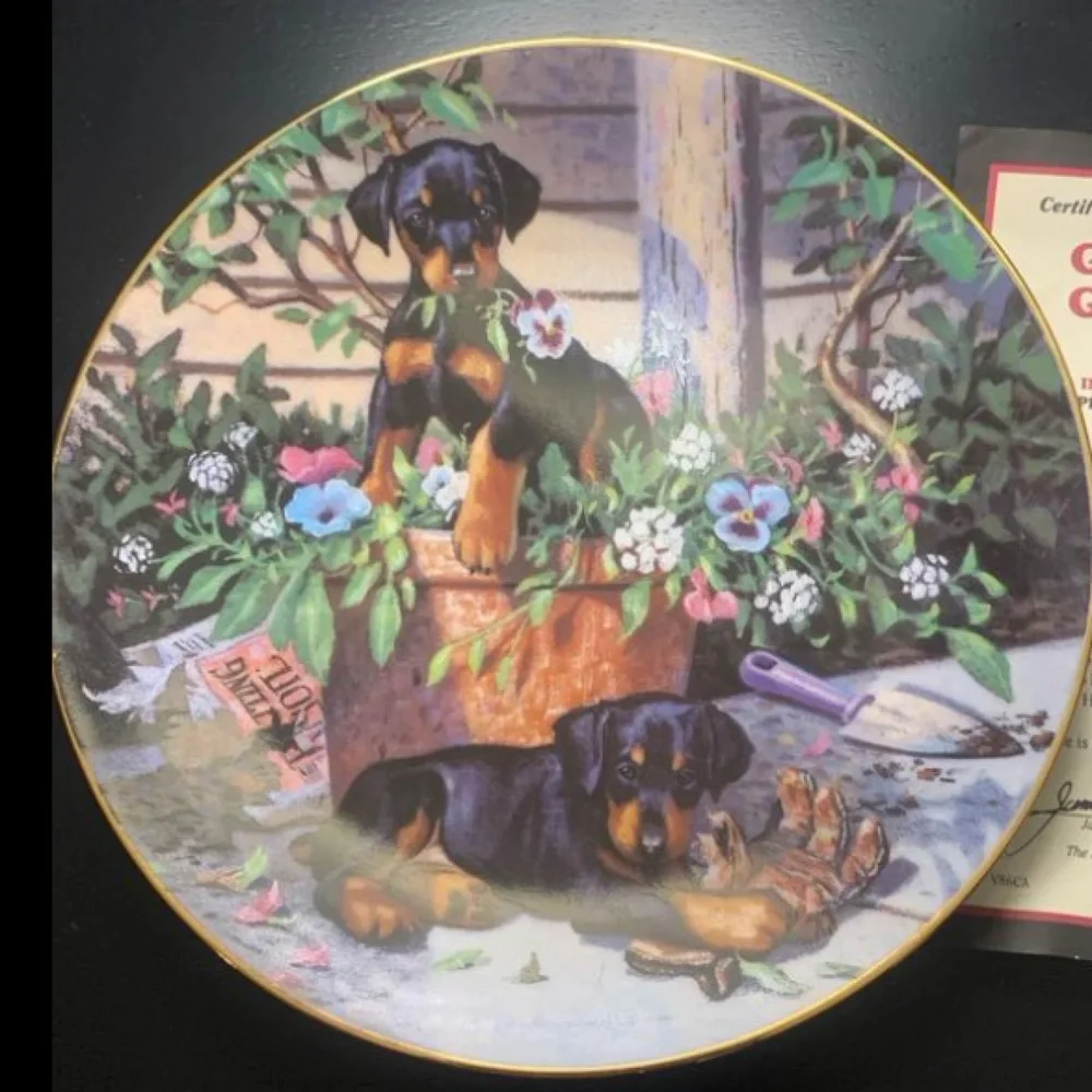 Collectors Plate - Picture 1 of 2